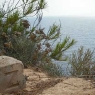 summer09_5